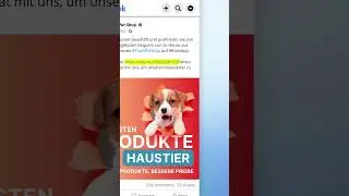 Click-to-Chat-Ads | Mehr Abonnenten für deinen WhatsApp-Newsletter (2/6)