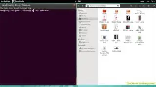 Linux Basics - mv Command