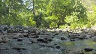 Forest Sounds, Relaxing Mountain Streams, Relieve Stress and Relax.