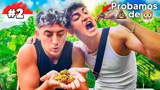 PROBANDO LA 💩 DE MONO en BALI
