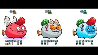 Axie Infinity team gill and catfish top team