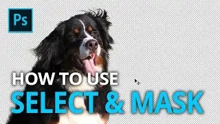 How To Remove Background in Photoshop - Select and Mask Photoshop Tutorial