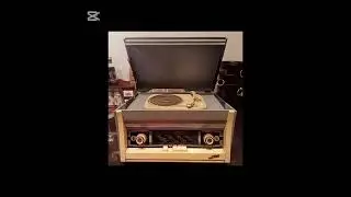 NAUFRAGHI - ALESSIO VANGELI
