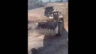 Dozer CAT #shorts #dozer #tractor