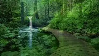 A wonderful melody for the soul and heart. Relax. Красивая мелодия. Расслабление и снятие стресса.