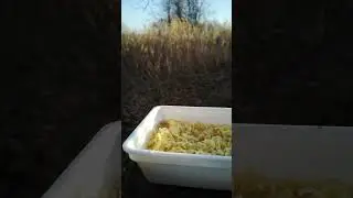 VID 20201110 150828