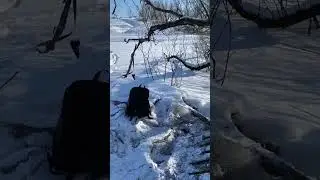 Охота 23 февраля с ИЖ-43.
