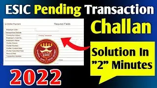 ESIC Challan Pending Transaction Solution 2022 | esic pending transaction 2022 | EPF & ESIC EXPERT