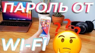 Как узнать пароль от WI-FI через iPhone, iPad или iPod Touch [2 способа]