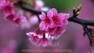 Surah Al waqiah