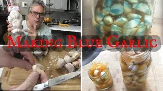 How to Make Blue Chinese Garlic