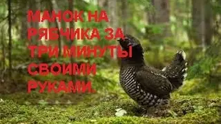 МАНОК НА РЯБЧИКА СВОИМИ РУКАМИ ЗА ТРИ МИНУТЫ  ИЗ КОЛПАЧКА ДЛЯ ШПРИЦА