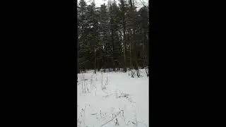 ЗИМА ПРИШЛА WINTER HAS COME