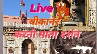 बीकानेर माता करणी दर्शन,चुहो वाली माता #karanimata #deshnok #bikaner#vaishnodevi #navratri #live