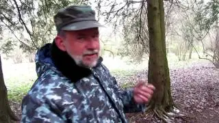 Прогулка по ботсаду. Сбор семян