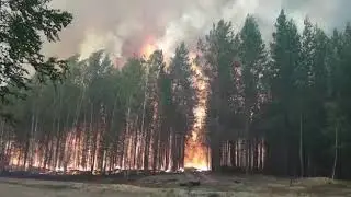 Видео пожара в сети интернет. Достоверная информация.