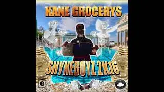 [FREE] plugg x kane grocerys x black kray type beat - somebody wants (prod. ivanowicz)