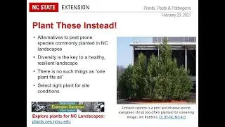 PPP February 2021 | Pest and Plant Disease Issues in NC