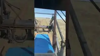 Мтз 80 на разгрузке . Разгрузка по 3 рулона
