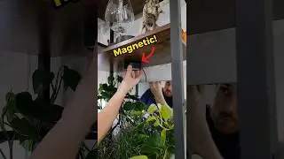 You Can Fit This LED Light ANYWHERE! (houseplants, aquariums, displays)