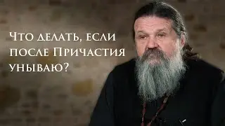 WHAT SHOULD I DO IF I FEEL DESPAIR AFTER COMMUNION? Fr. Andrey Lemeshonok