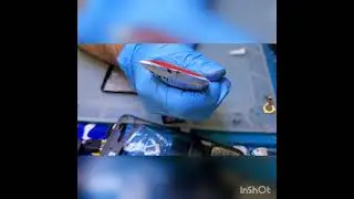 OnePlus N10 5G Screen Replacement
