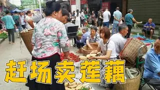 The big sister's vegetable stall is open, and lotus roots are sold a lot