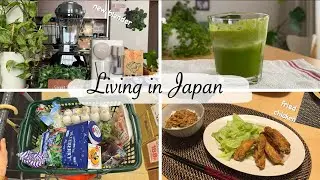 new blender to make delicious smoothie, fried chicken wings for dinner | living in Japan
