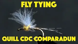 Quill CDC Comparadun
