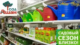 🌸АШАН САД🌸РАССАДА уже в ПРОДАЖЕ//СКИДКИ🔥РАСПРОДАЖА БЕГОМ в АШАН САД!!!ФЕВРАЛЬ 2021