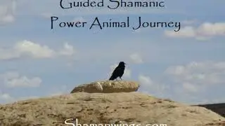 Lower World Shamanic Power Animal Journey:  27 minute Guided Healing Meditation