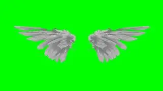 Green Screen Angel video effect_|_Bird wings green screen effect final version