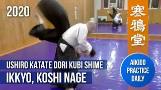 Ushiro Katate Dori Kubi Shime | Ikkyo, Koshi Nage | Aikido practice daily