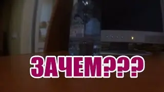 Дени Аврамов_