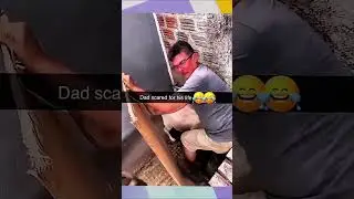 When Sheep Choose Violence 🐑💥 