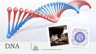 Lecture Video: DNA by Learneasytutorial