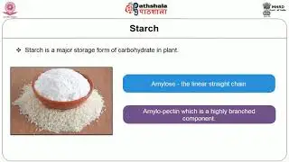 Biodegradable films and degradable mechanism