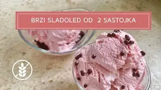 SLADOLED 2 SASTOJKA - Recept za kojim je Internet poludio - ICECREAM 2 INGREDIENTS