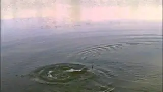 Shimano Aerocast Heavy Feeder in action (11.10 kg ponty - 24.5lb carp)