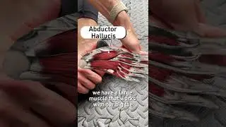 Tip for Toe Pain with Running!