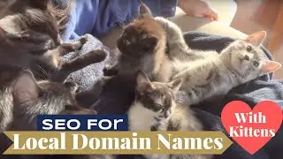SEO for Local Domain Names with Kittens