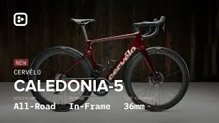 NEW Cervélo Caledonia-5 With In-Frame Storage | First Impressions