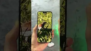 How to quickly crop a photo on iPhone 