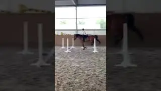Конный спорт🐴Конкур❤️||лошади||