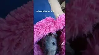 hola soy Tui..