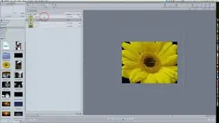 Motion 4 Tutorial: Morphing In Motion Using Optical Flow (The Poor Man's Morph)