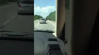 Произошла авария на трассе под Васильевкой