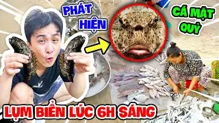 Đi Lụm Biển Lúc 6h Sáng Bắt Được Cá Mặt Quỷ, Tôm Tích, Hải Quỳ, Cá Lưỡi Trâu - Thạc Đức TV