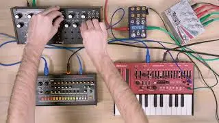 Moog DFAM Acid Basslines [Synth Recipe #69]