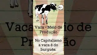 CAPITALISM X SOCIALISM X COMMUNISM